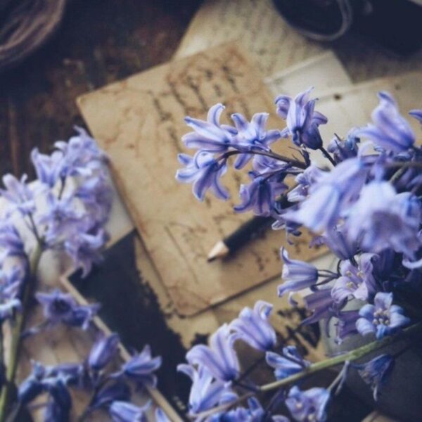 Alternative view of INSPIRED BY NATURE - BLUEBELLS - candela profumata 530g